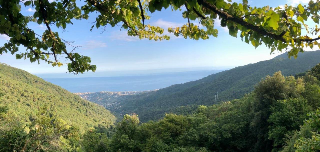 Appartamento Ai Piedi Della Pigna Санремо Экстерьер фото