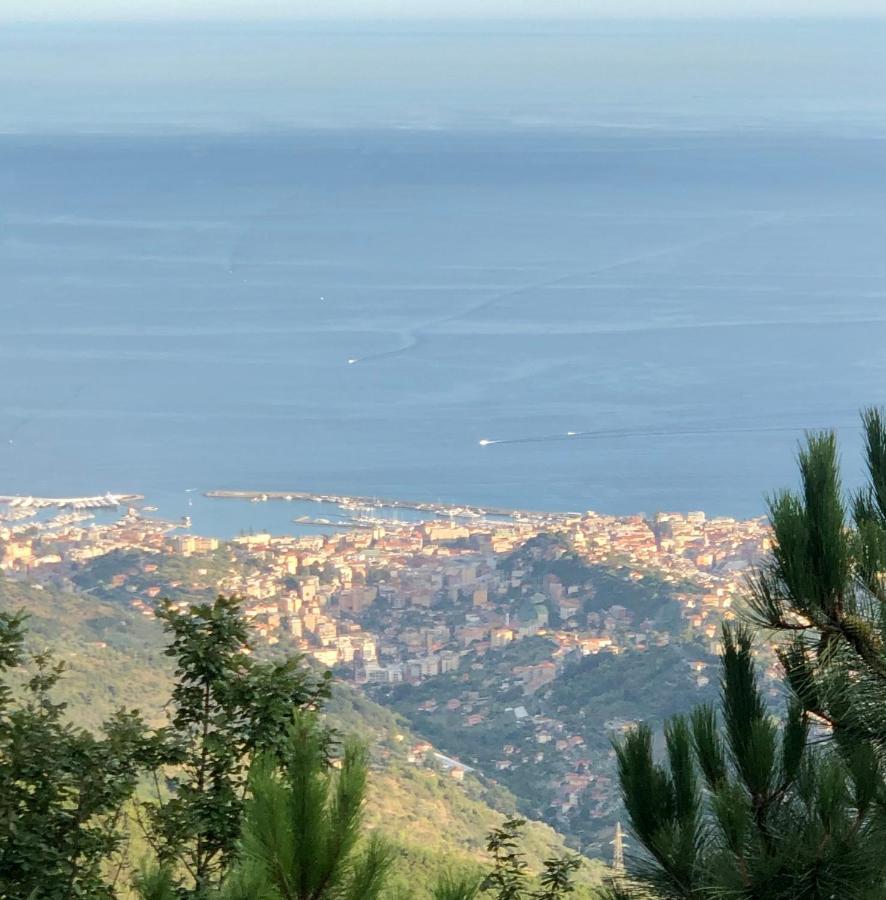 Appartamento Ai Piedi Della Pigna Санремо Экстерьер фото
